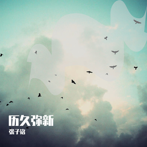 当年懵懂无知陈嘉全套
